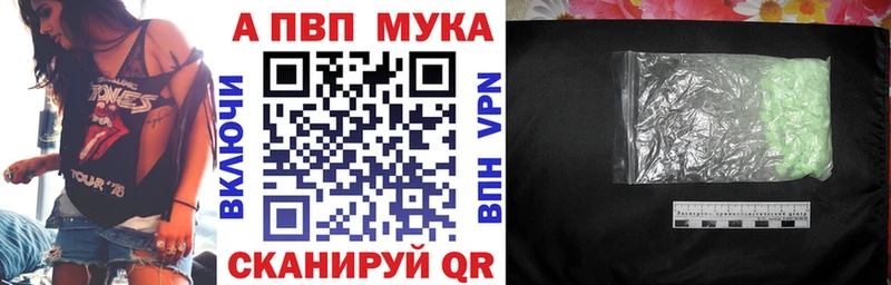 Альфа ПВП СК КРИС  Беслан 