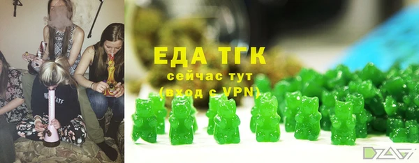 хмурый Магас