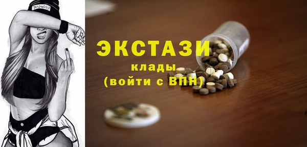хмурый Магас