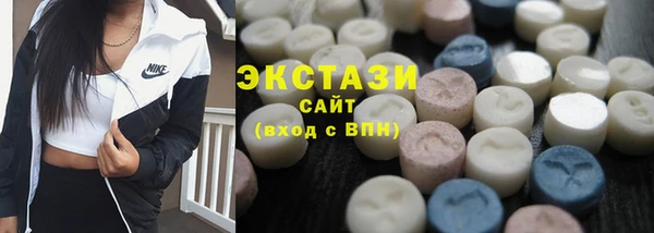 хмурый Магас