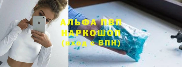 хмурый Магас