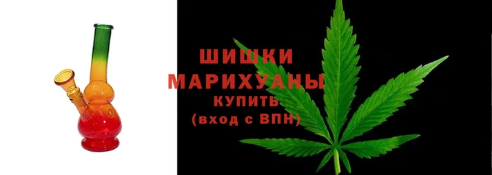 хмурый Магас