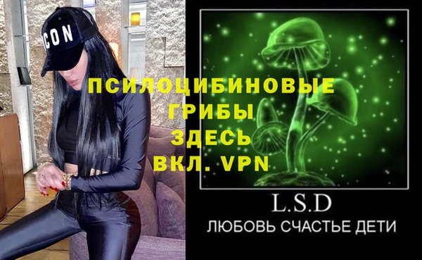 хмурый Магас