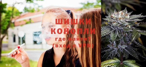 хмурый Магас
