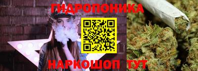 дмт Апшеронск