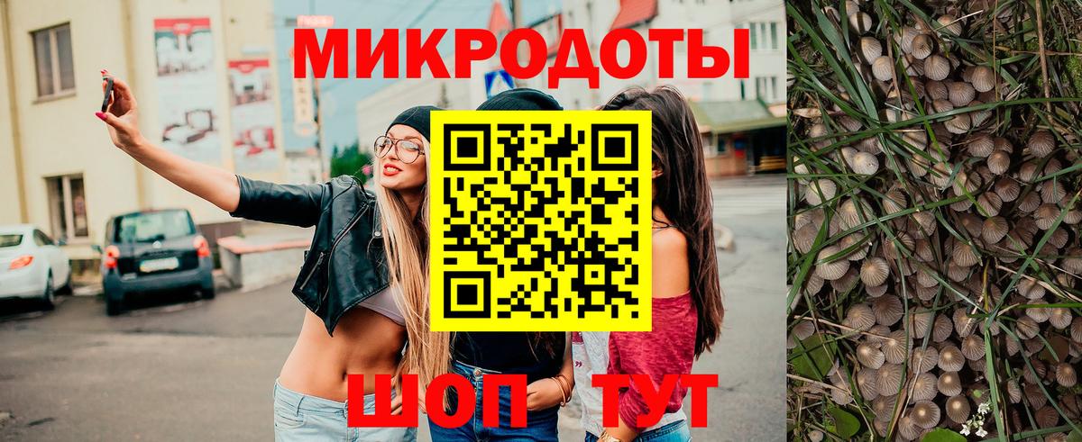 Беслан  Псилоцибиновые грибы Magic Shrooms  Вход с VPN 